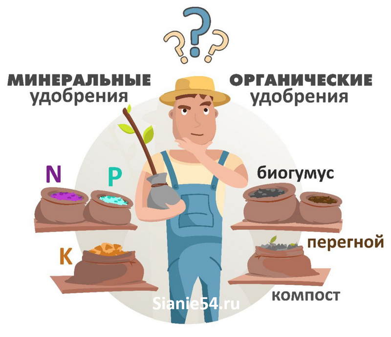 удобрение-2.jpg