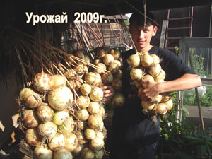 luk-1-11.jpg