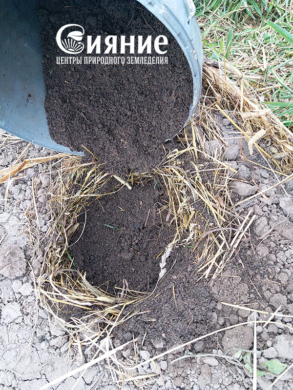 teplaia-griadka-5.jpg teplaia-griadka-5.jpg