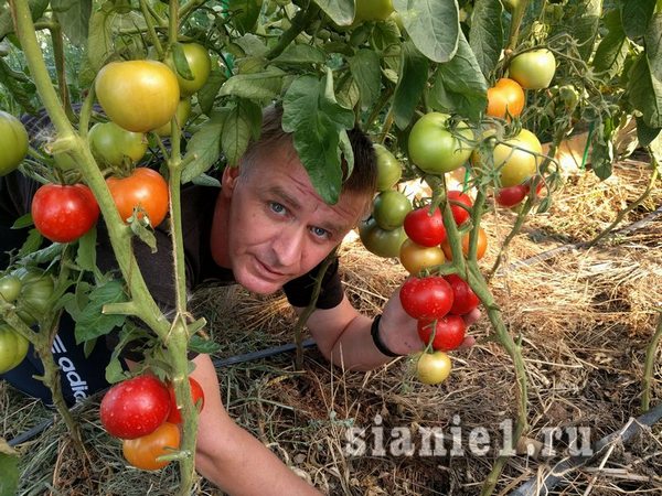 титульная большая.jpg