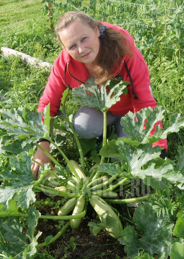 улитки 1.JPG улитки 1.JPG