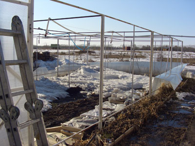 zabor-17.jpg zabor-17.jpg