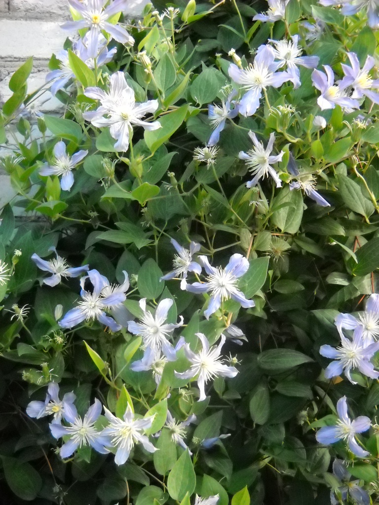 DSCN7673.JPG