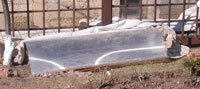 rz-81.jpg rz-81.jpg