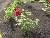 rz-6.jpg rz-6.jpg