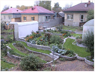 ds-8.jpg ds-8.jpg