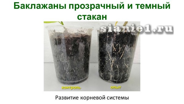 Актобе опыты Москва 1.jpg