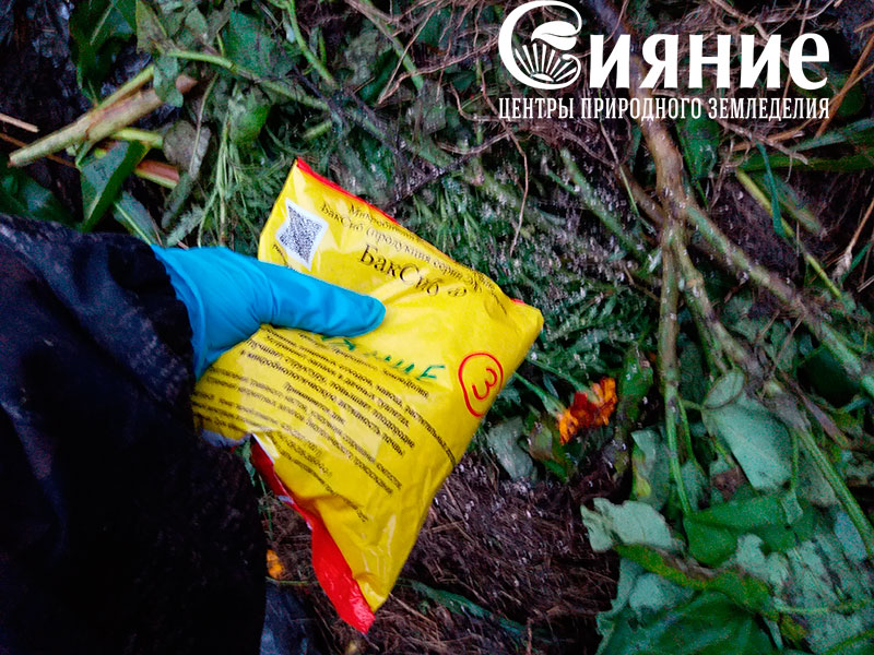 sianie3.jpg sianie3.jpg