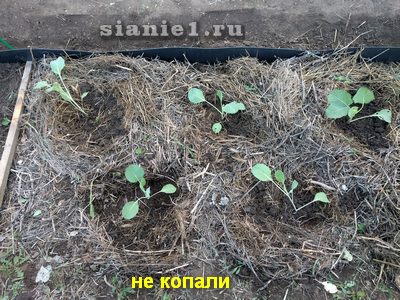 IMG_20180602_200003.jpg
