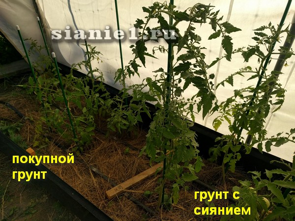 IMG_20180618_200437.jpg