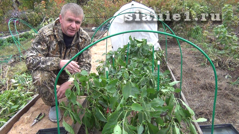 Снимок - 17.png