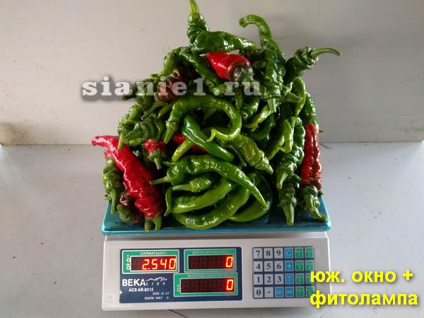 IMG_20180907_191036.jpg