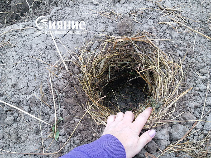 teplaia-griadka-3.jpg teplaia-griadka-3.jpg