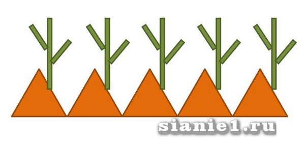 Слайд2 — копия.JPG