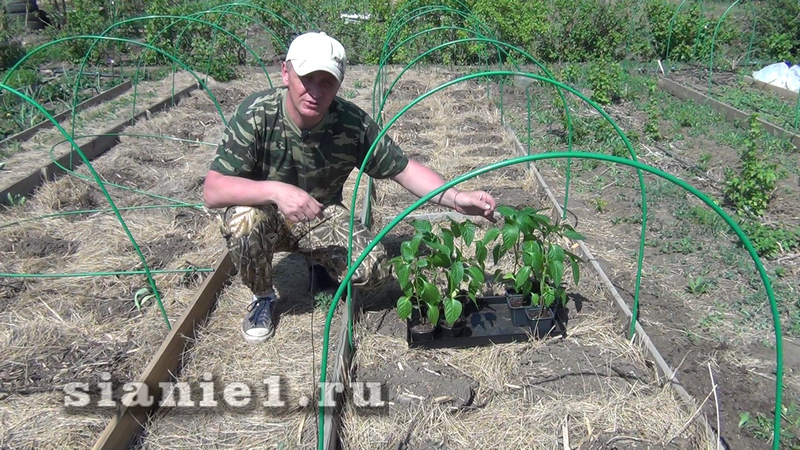 Снимок - 10.png