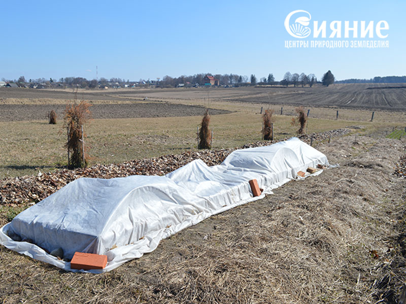 teplaia-griadka-21.jpg teplaia-griadka-21.jpg