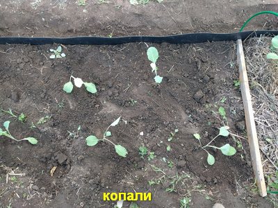 IMG_20180602_200010.jpg