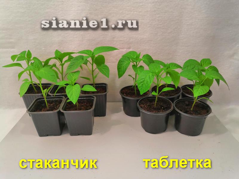 IMG_20190417_200330.jpg
