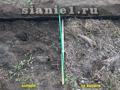 IMG_20180602_193314.jpg