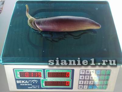 контроль1 0,115.jpg