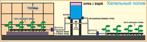 polvsist-2.jpg polvsist-2.jpg