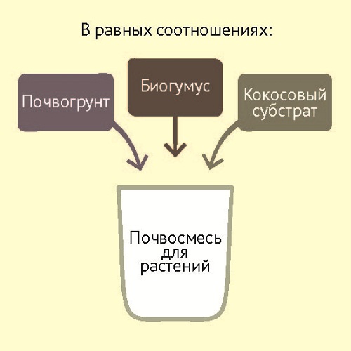 схема_2.jpg схема_2.jpg