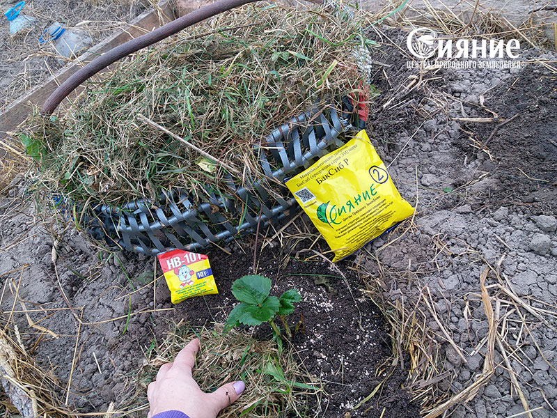 teplaia-griadka-17.jpg teplaia-griadka-17.jpg