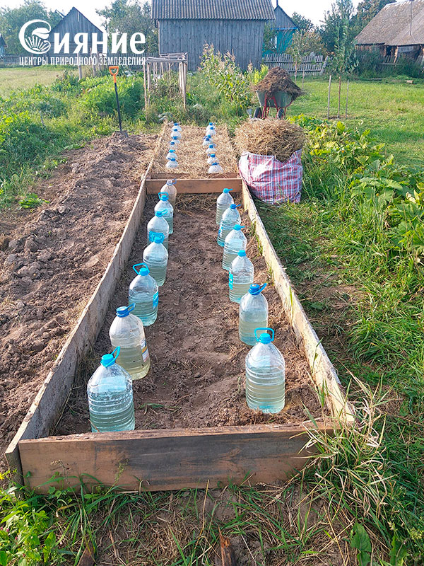 tranheia1.jpg tranheia1.jpg