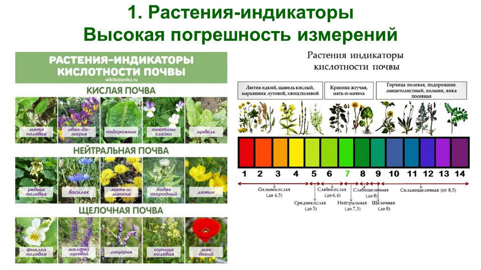 Слайд5.jpg