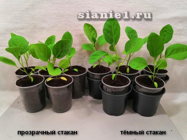 IMG_20190417_224927.jpg