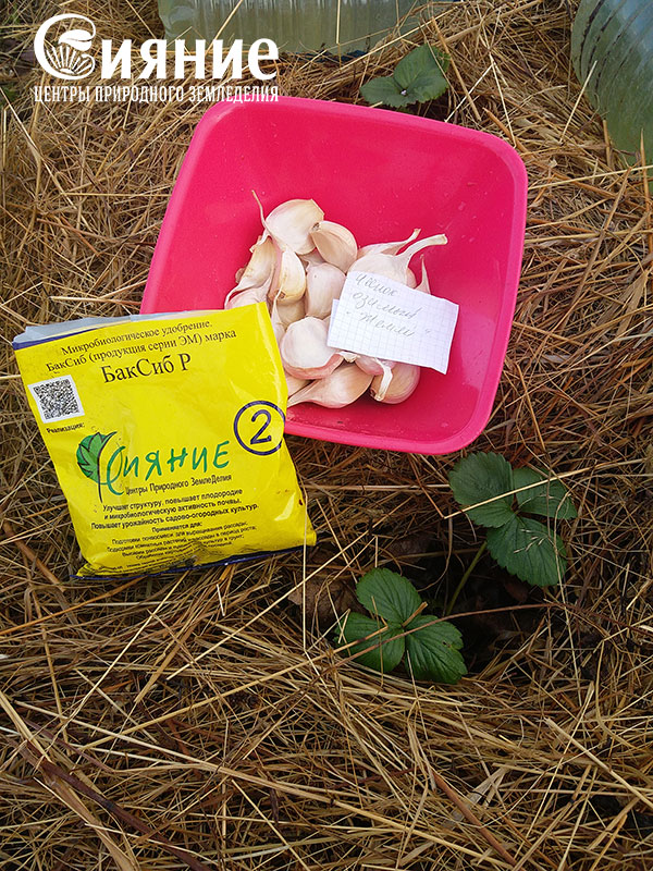 teplaia-griadka-20.jpg teplaia-griadka-20.jpg