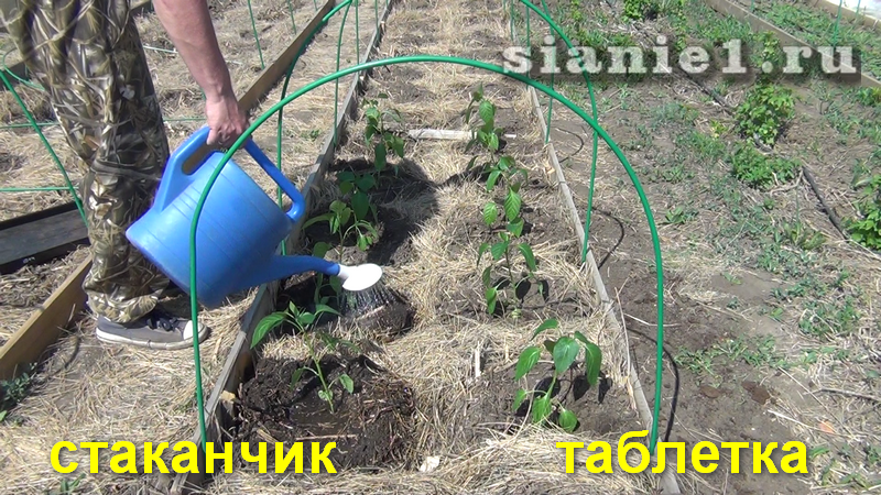 Снимок - 11.png