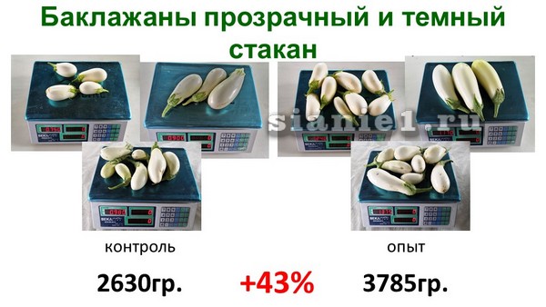 Актобе опыты Москва 19г..jpg