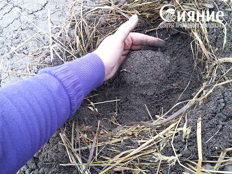 teplaia-griadka-7.jpg teplaia-griadka-7.jpg