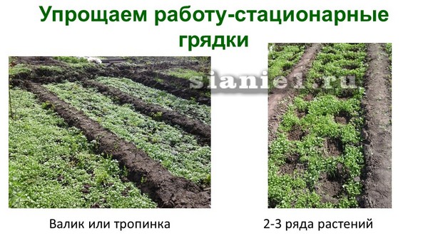 знакомство с природным земледелием.jpg